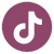TikTok Icon